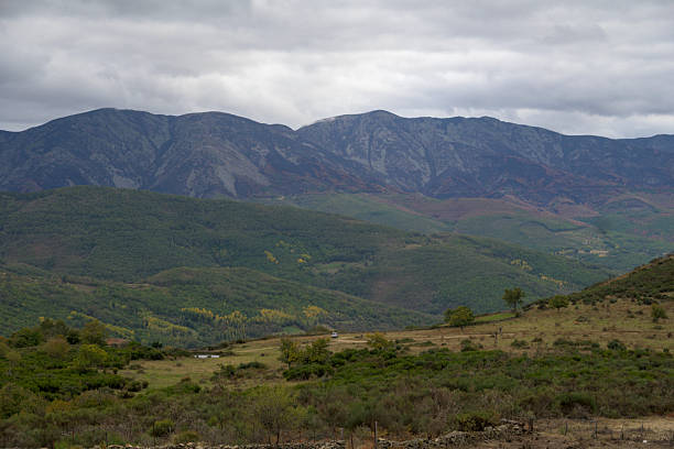istock View of  Sierra de Hervas Fire Recovery After IFJarilla 2245407614