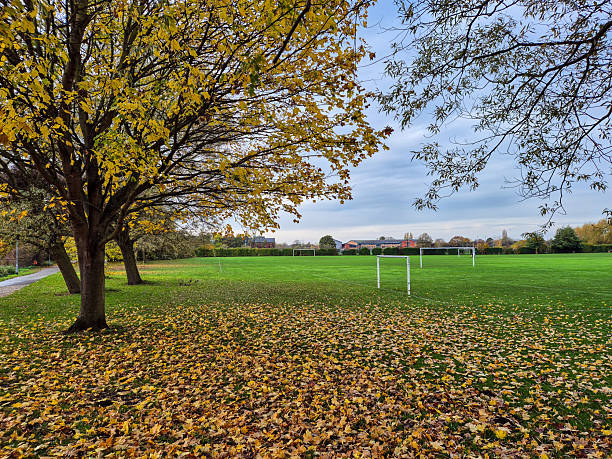 Trees in autumn color near a playing field.
