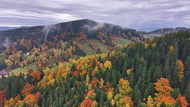 istock Exploring lush hills with colorful fall foliage and peaceful 2245413245