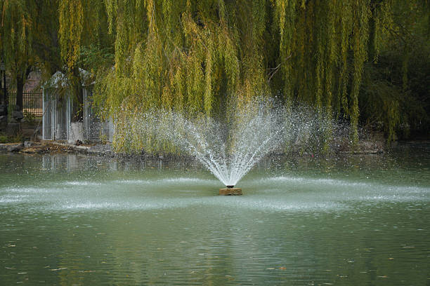 A fountain in a park with weeping willows creates a peaceful water spray in the calm lake.