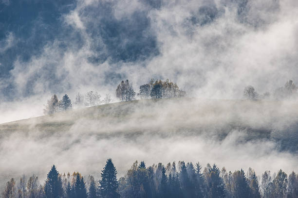 istock Misty forest landscape with trees emerging from a thick fog creating a serene and ethereal natural scene. 2245414536