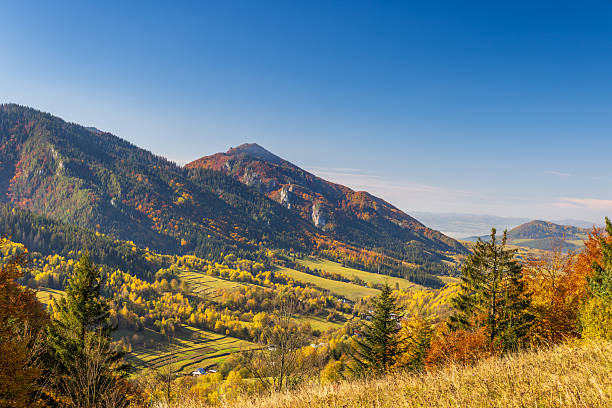 istock Scenic mountain landscape with autumn foliage under a clear blue sky capturing nature's colorful transition in the mountains. The Mala Fatra national park in northwest of Slovakia, Europe. 2245414543