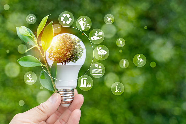 istock Hand holding LED light bulb with tree and green icons representing eco energy and sustainability 2245419167