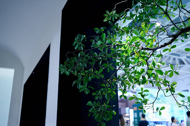A wall of plants in the greenhouse, growing branches and pots.