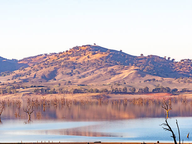 istock Atmospheric late sunlight on lake, dead trees and rolling hills 2245421710