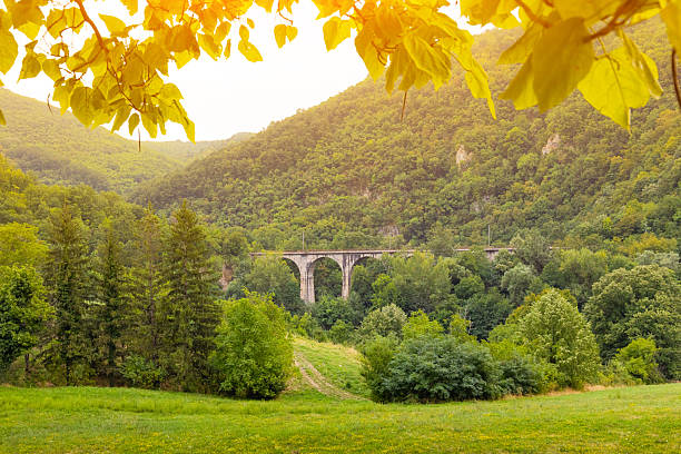 istock Old stone railway viaduct with arches traversing a lush green forest valley, highlighting engineering in nature 2245423153