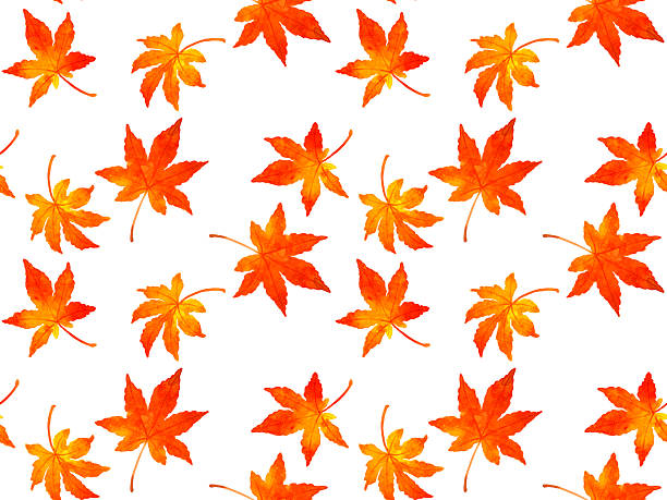 istock Seamless pattern of autumn maple leaves. Hand-painted watercolor illustration background material featuring autumn plants. 2245423170