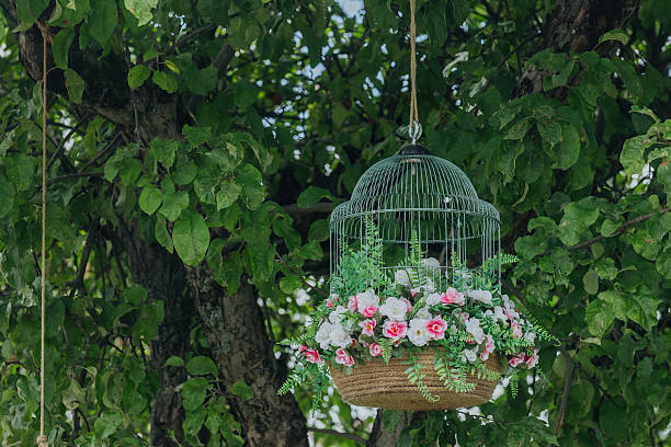 istock Cage filled with pink white flowers hanging on green leafy tree branch 2245423563