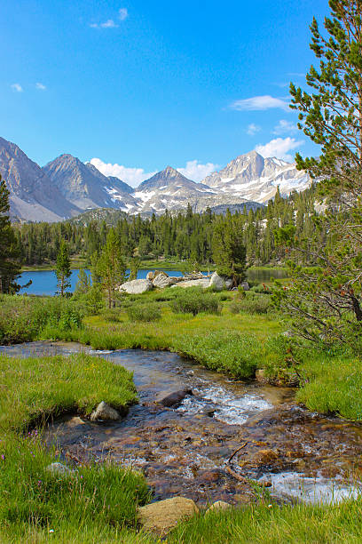 Green grassy meadow in the Sierra Mountains of California with a creek and a bright blue lake. Pine trees and snowcapped mountains surround the basin