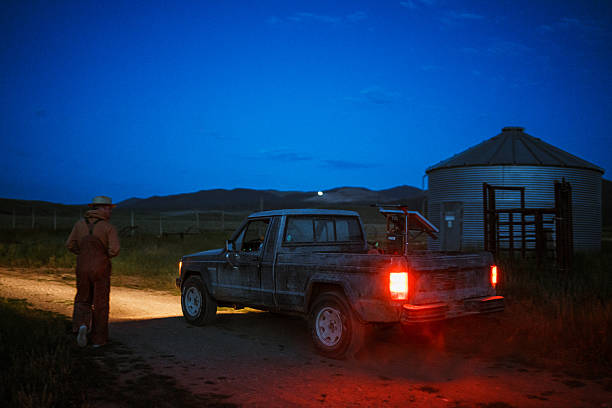 White dump truck is parked on a dirt driveway delivering firewood to a rural home in Albrightsville, Pennsylvania. The truck is positioned in front of a carport attached to a brick house surrounded by forest. The wooded property features tall pine trees and green undergrowth. Sunlight filters through the trees creating dappled lighting in the scene. The delivery is part of winter preparations for heating the home with a wood-burning stove.