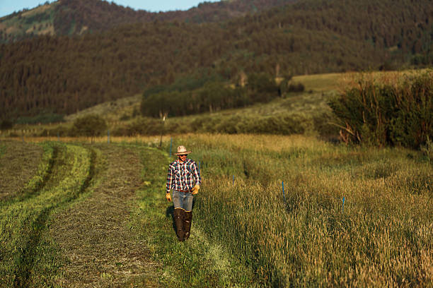 istock Rancher Walking Through Hay Field in Wyoming 2245429654