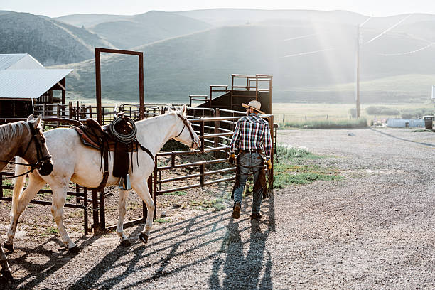 A rancher walks his saddled horse along a gravel road outside a corral on his Wyoming ranch as morning sunlight streams over the surrounding hills.