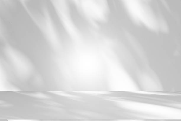 istock Wall interior background, studio and backdrops show products.with shadow from window color white . background for text insertion and presentation product 2245431011
