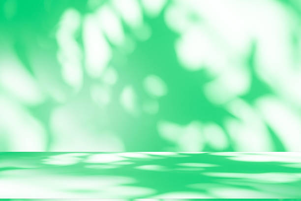 istock Studio style background wall decoration presentation uses white and green tones. with shadows cast from a nearby window, concept creating a decorative 2245431123