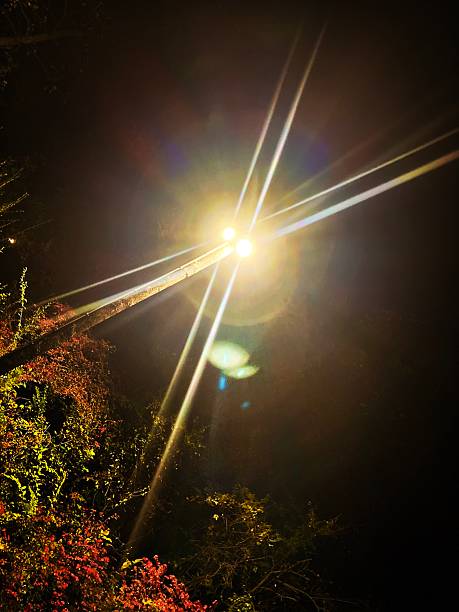 Street Light Lens Flare at Night with Fall Foliage