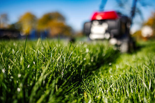 Photograph of lawn mower on the green grass. Mower is located on the right side of the photograph with view on grass field. 