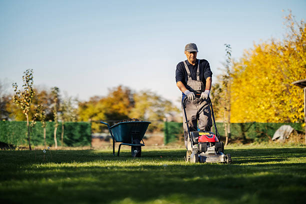 Mature man in overalls pushing a lawn mower across an autumn backyard lawn with wheelbarrow nearby, sunny day chores
