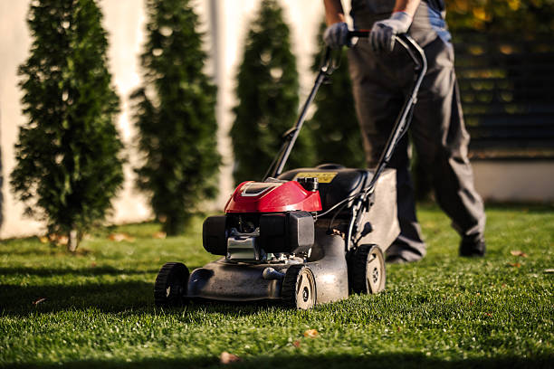istock Person mowing green lawn with a push lawn mower 2245441609