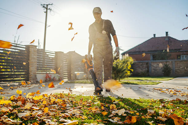 istock Man clearing autumn leaves with leaf blower 2245441690