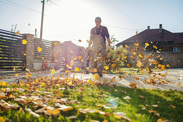 Man using leaf blower to clear golden autumn leaves from suburban lawn and paved driveway on a sunny fall day