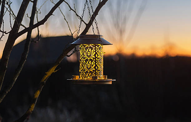 istock illuminated bird feeder lantern golden evening backyard silhouette tree outdoor warm 2245445790