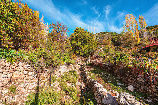 istock autumn season, with colorful leaves 2245448030