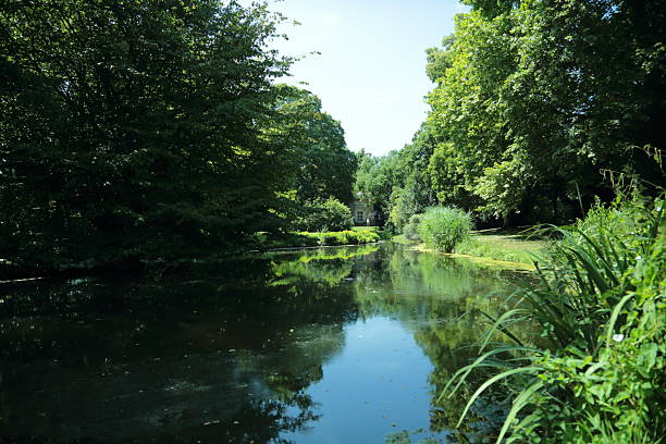 A calm lake reflects lush green trees and clear blue sky in a peaceful summer park. The still water surface creates a mirrorlike view adding harmony and depth to the natural scene. A small house is visible in the distance among the trees giving a cozy touch to the tranquil landscape. Perfect image for concepts of relaxation serenity environment nature beauty and quiet moments outdoors.