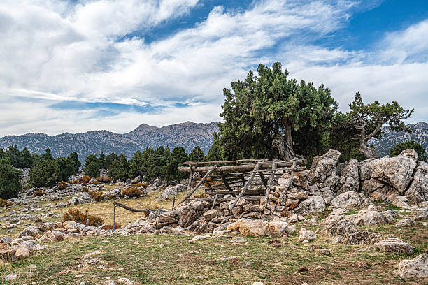 The scenic views of the countryside of Elmalı, Antalya, in the autumn season, with colorful leaves