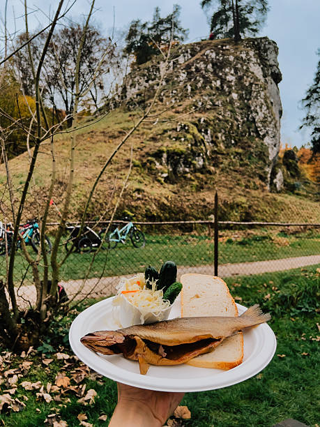 Hand holding disposable plate featuring smoked trout, bread, salad with Sokolica peak backdrop in Ojcowski National Park during colorful autumn landscape. Hand holding plate with smoked trout