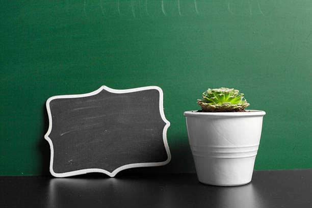 A small succulent plant in a white pot sits beside a blank chalkboard on a dark table.