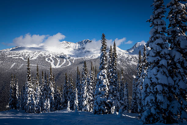 istock Fresh snow on forest and mountains, Whistler 2245464112