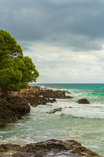 Dramatic seascape in Mallorca with turquoise waves, rocky shore, lone pine under gray storm clouds. Mediterranean nature, power and beauty of sea.