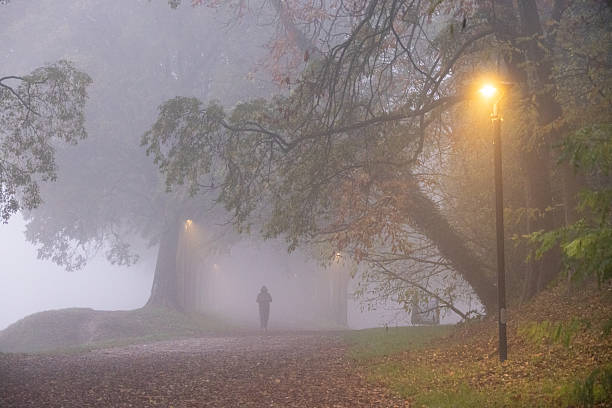 istock Human silhouette walking in the fog 2245471926