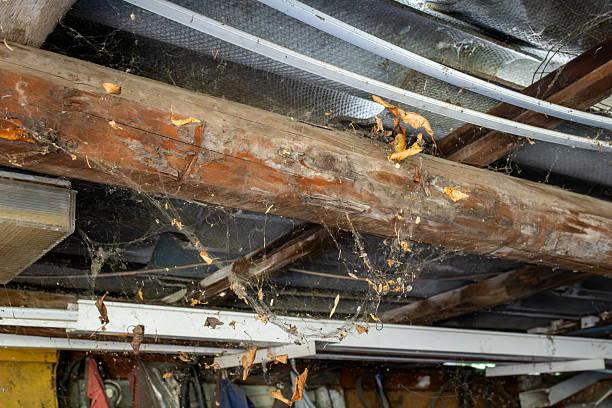 istock Old wooden beam with cobwebs in basement 2245472223