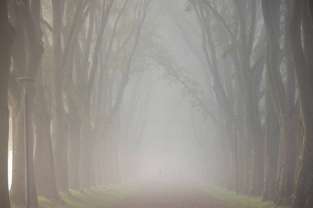 Human silhouette walking in the fog on the ancient Ferrara city walls