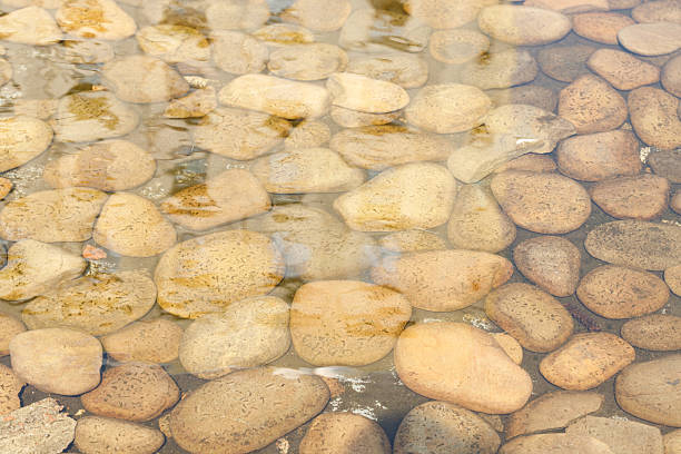 istock shallow water pond with stones on a bottom landscaped design pattern close up background concept view simple picture 2245485399