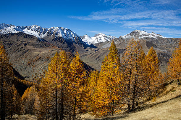 istock Autumn foliage in the Maritime Alps 2245490530