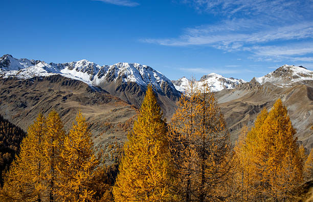 istock Autumn foliage in the Maritime Alps 2245490537