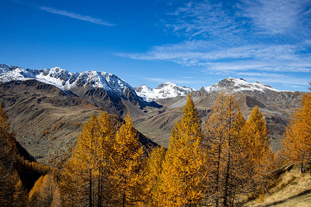 istock Autumn foliage in the Maritime Alps 2245490539