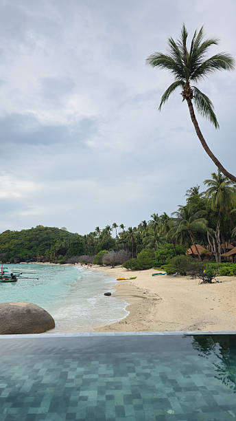 istock secluded tropical beach with palm trees and infinity pool Koh Tao Thailand 2245493869