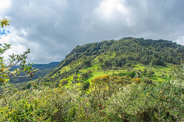 istock Lush Green Hills of Purace 2245496438