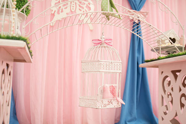 Baby and Kids Birthday Party Decor Collection
