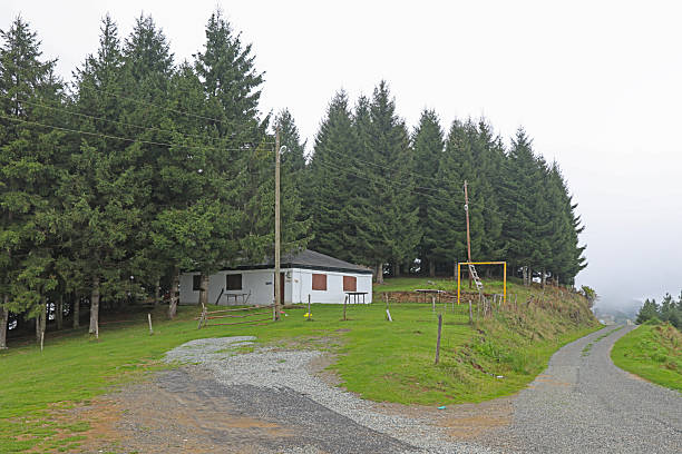 A quiet, abandoned village nestled in the mountains, with overgrown greenery and empty houses along a dirt road