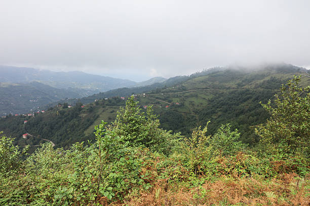 istock Landscape over green forest hills 2245497658