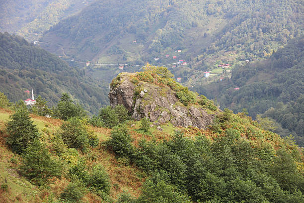 Mountain covered with green forest and low cloud