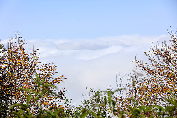 Clouds in the mountains lit by the sun. The view from the top