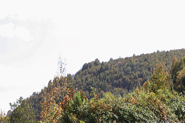 Amazing landscape seen from Giresun Turkey