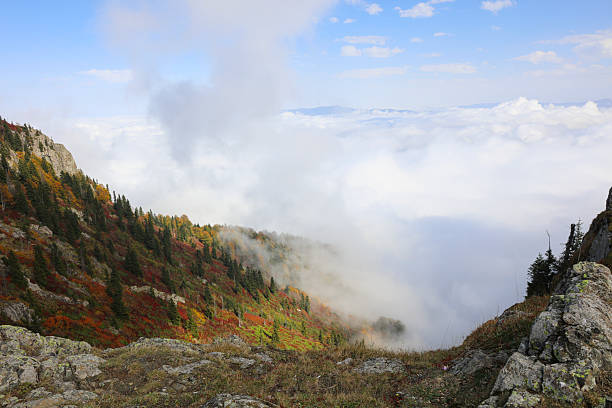 Picture taken rom Giresun (Turkey)