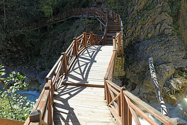 Wooden Bridge Over Stream with Trees and Path