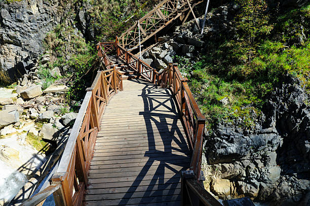 Rustic wooden bridge over a stream in Córdoba - Argentina